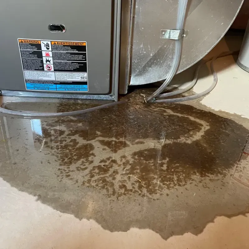 Appliance Leak Cleanup in Mentor-on-the-Lake, OH